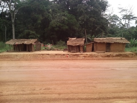 Baka dwellings in the Djouze village impacted by the construction of the road, November 2018 (Photo: CED)